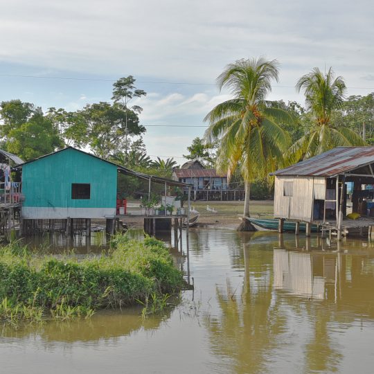 Vy från amazonfloden med hus på pålar