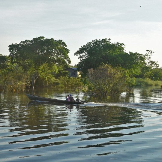 Vy av amazonfloden med båt och hus